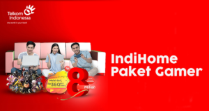 IndiHome Gamer