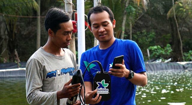 XL Axiata Tingkatkan Kualitas Budidaya Ikan dan Udang dengan IoT