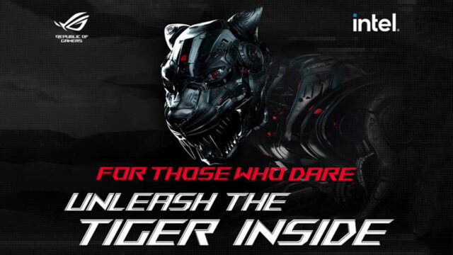asus-tiger