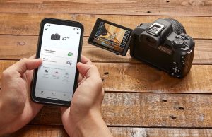 Canon EOS R50: Kamera Mirrorless Berkualitas Tinggi dengan Harga Terjangkau