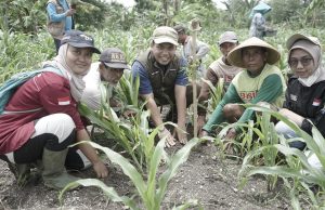 Pertamina Foundation dan KitaBisa Ajak Masyarakat Tanam Pohon untuk Atasi Perubahan Iklim