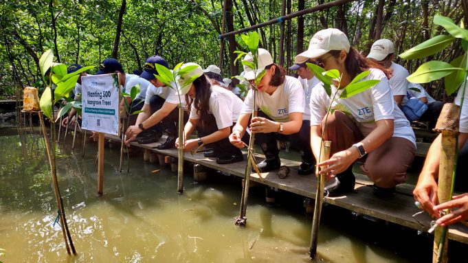 ZTE Tanam 500 Pohon Mangrove di PIK, Perkuat Komitmen untuk Masa Depan Digital Ramah Lingkungan