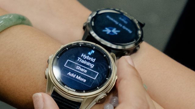 Garmin-Hybrid-Lab-(2)