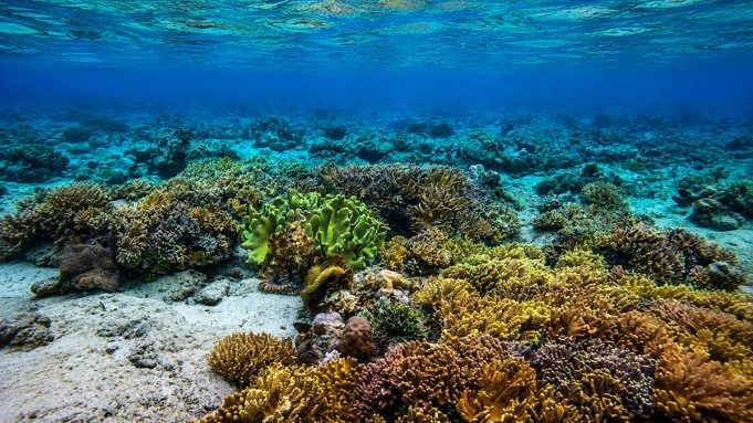 Bali, Jakarta, dan Batam Masih Jadi Magnet Wisatawan Asing, Sukabumi Catat Lonjakan Minat Hingga 364%