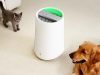 Acerpure PRO P5 Series Hadir, Air Purifier Pintar untuk Rumah dengan Hewan Peliharaan