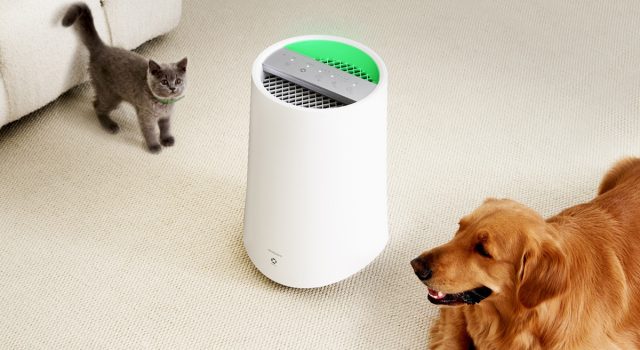 Acerpure PRO P5 Series Hadir, Air Purifier Pintar untuk Rumah dengan Hewan Peliharaan