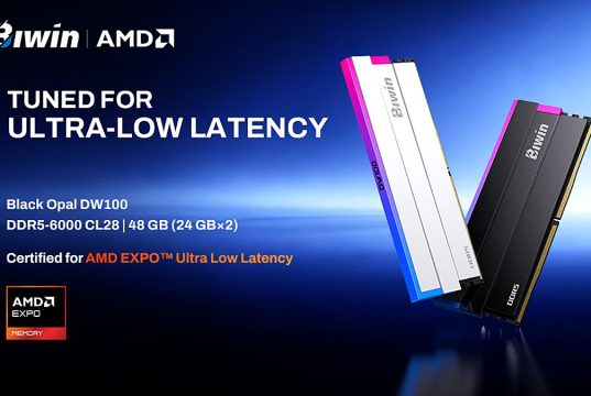 Images of Biwin Black Opal DW100 DDR5 tuned for ultra low latency